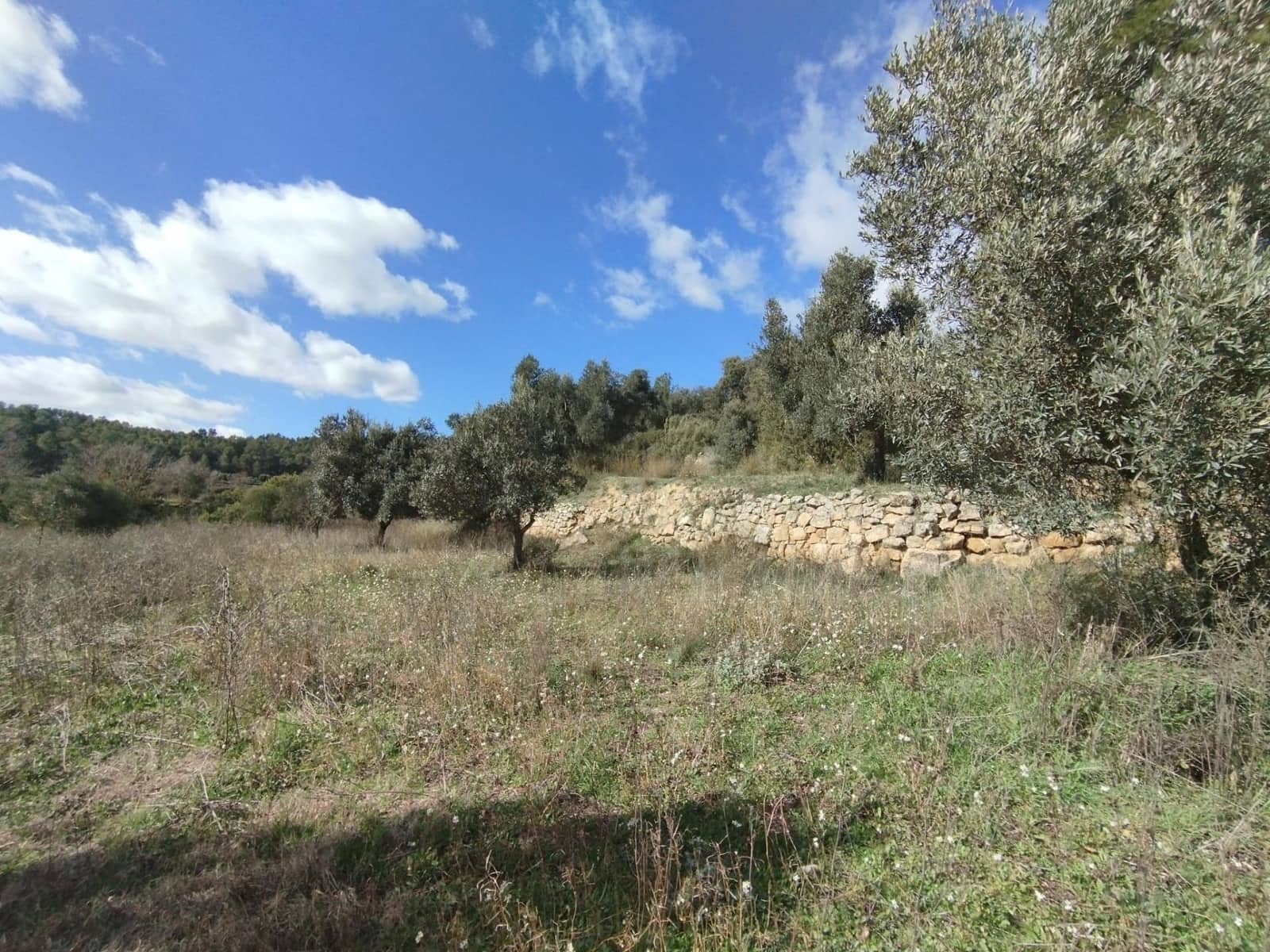 Finca/Casa di Campagna in vendita in Lledo - 38.000 € (Rif: 9679984)