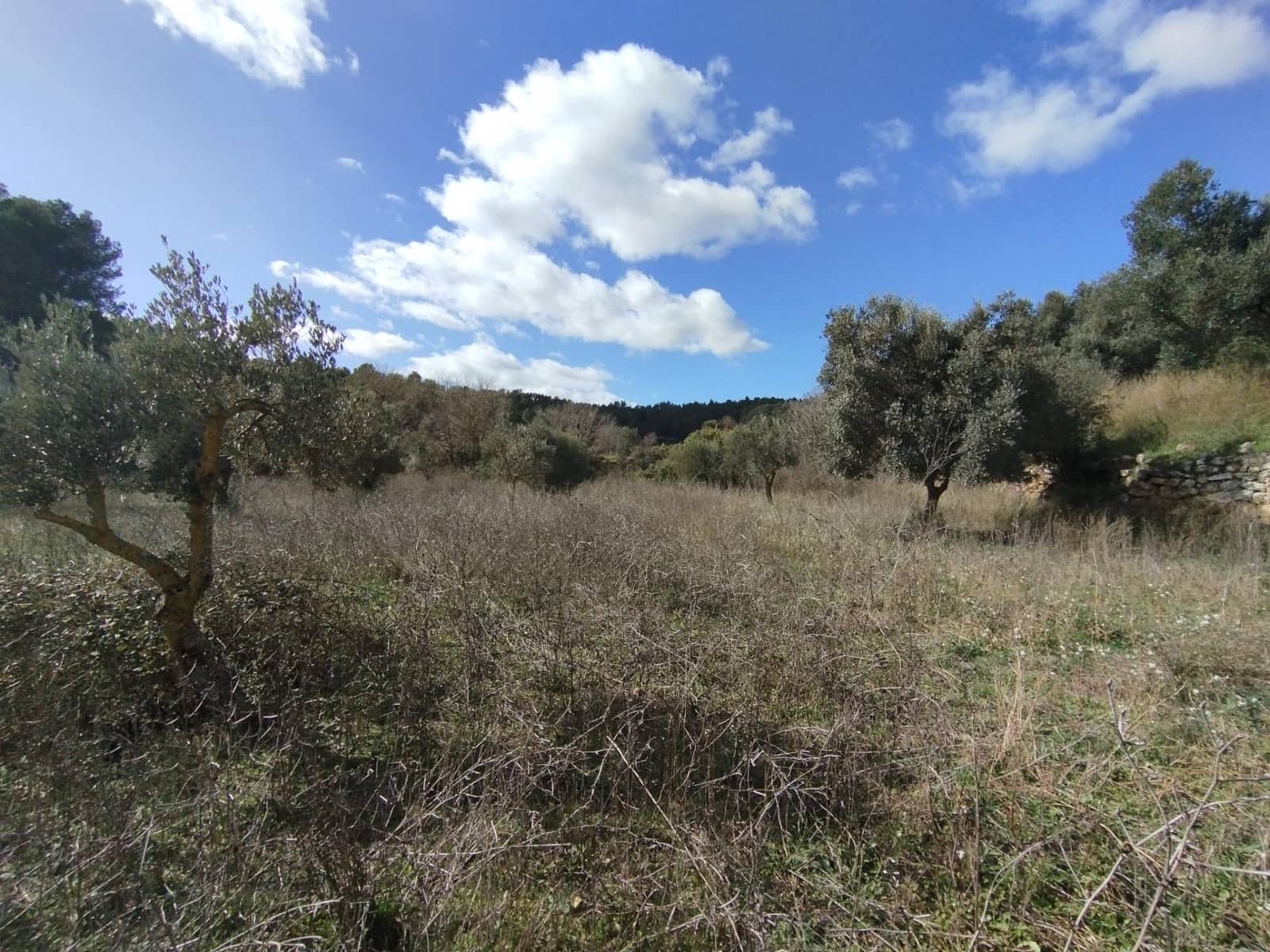 Finca/Casa di Campagna in vendita in Lledo - 38.000 € (Rif: 9679984)