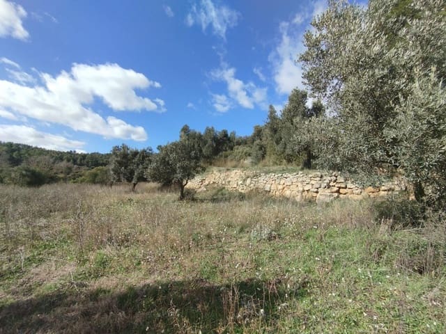 Quinta/Casa Rural para venda em Lledó - 38 000 € (Ref: 9679984)