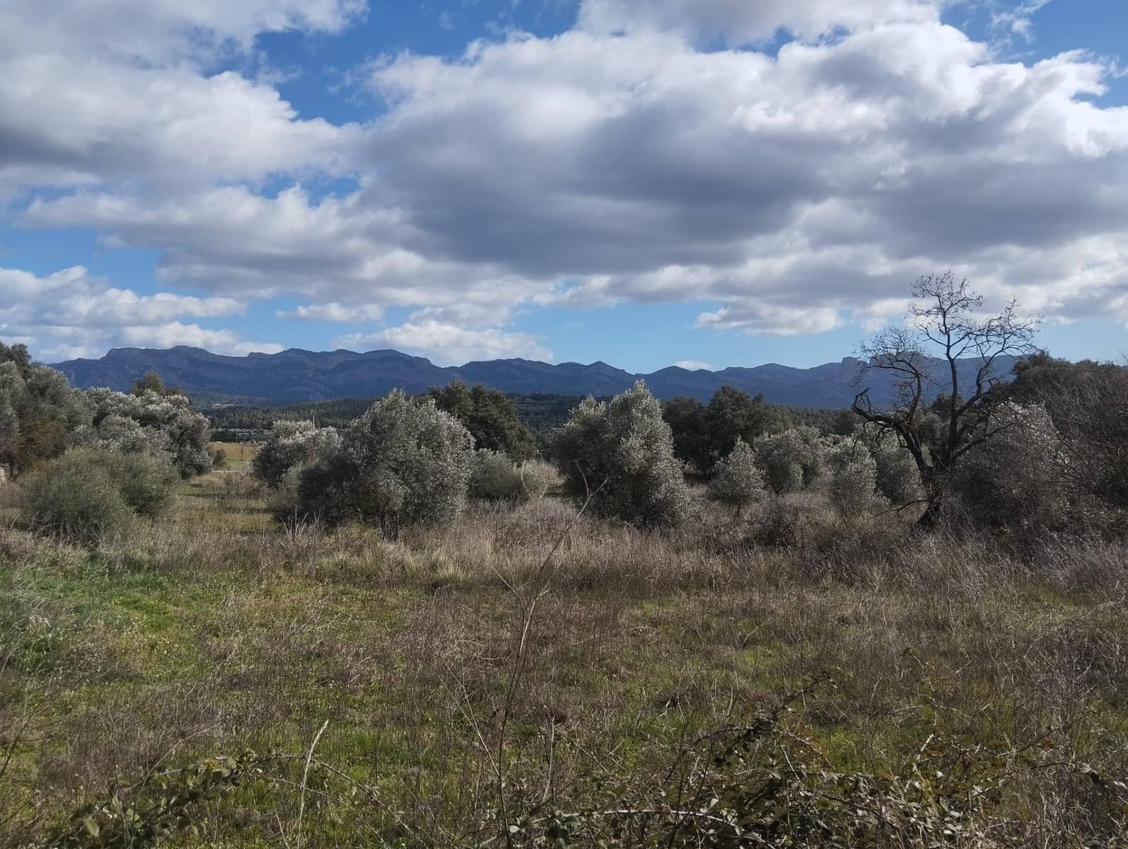 Finca/Casa di Campagna in vendita in Lledo - 38.000 € (Rif: 9679984)