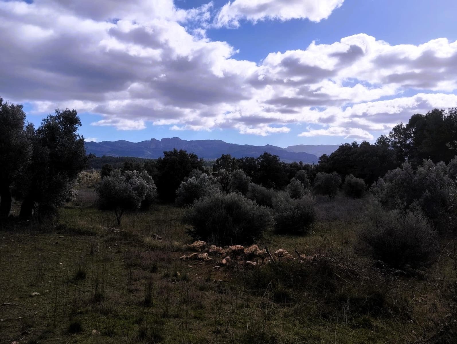 Finca/Casa di Campagna in vendita in Lledo - 38.000 € (Rif: 9679984)