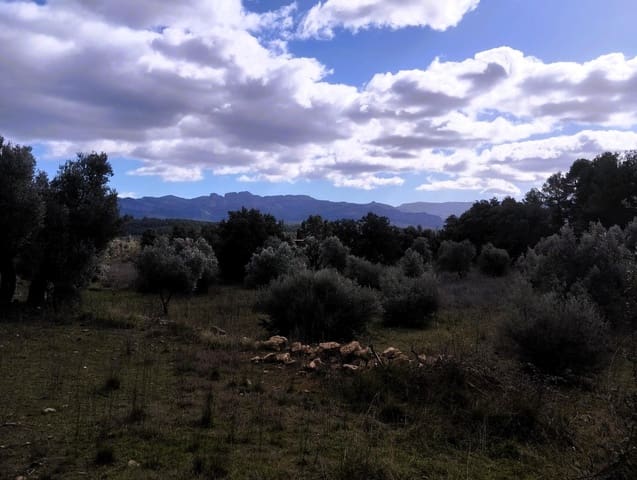 Quinta/Casa Rural para venda em Lledó - 38 000 € (Ref: 9679984)