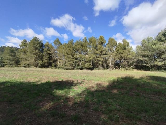 Quinta/Casa Rural para venda em Lledó - 45 000 € (Ref: 9686750)