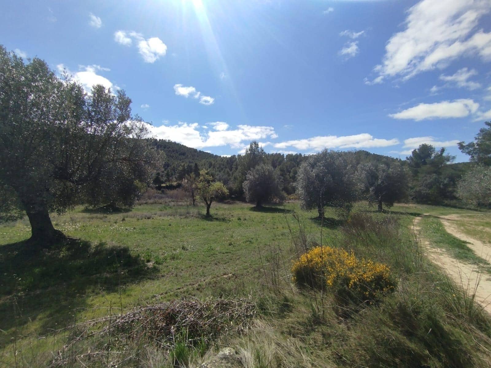 1 bedroom Finca/Country House for sale in La Fresneda - € 45,000 (Ref: 9696258)