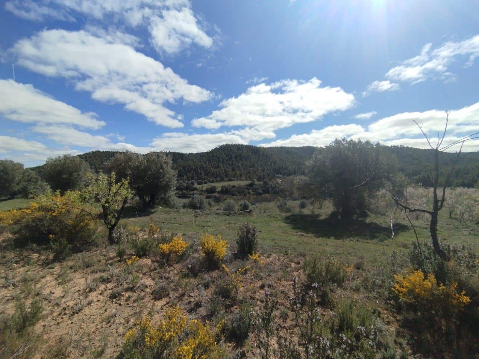 1 bedroom Finca/Country House for sale in La Fresneda - € 45,000 (Ref: 9696258)