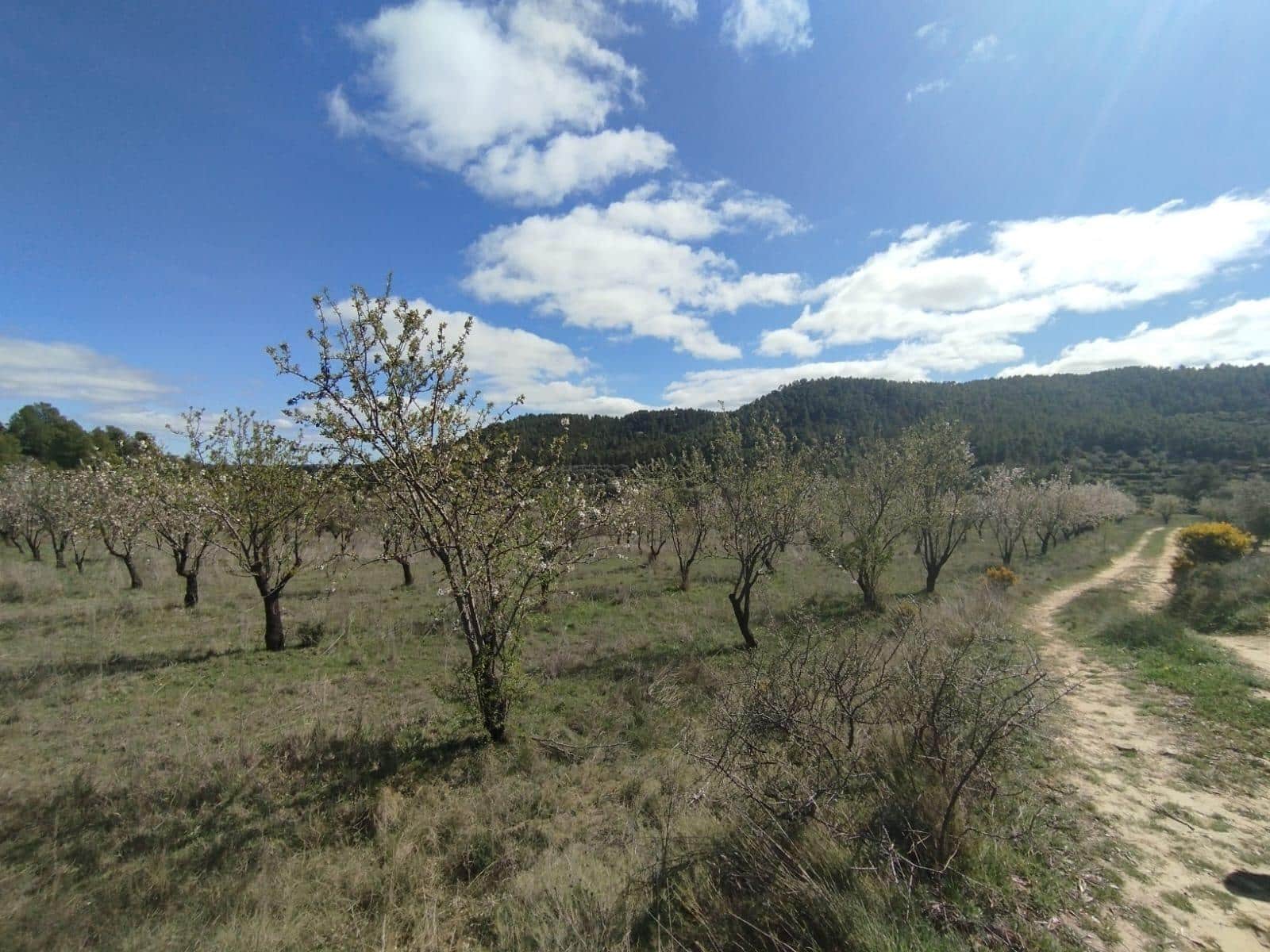 1 bedroom Finca/Country House for sale in La Fresneda - € 45,000 (Ref: 9696258)