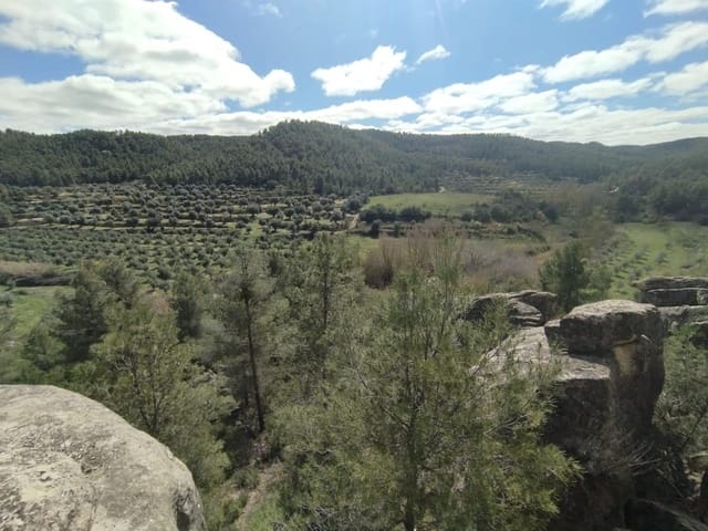 1 chambre Finca/Maison de Campagne à vendre à La Fresneda - 45 000 € (Ref: 9696258)