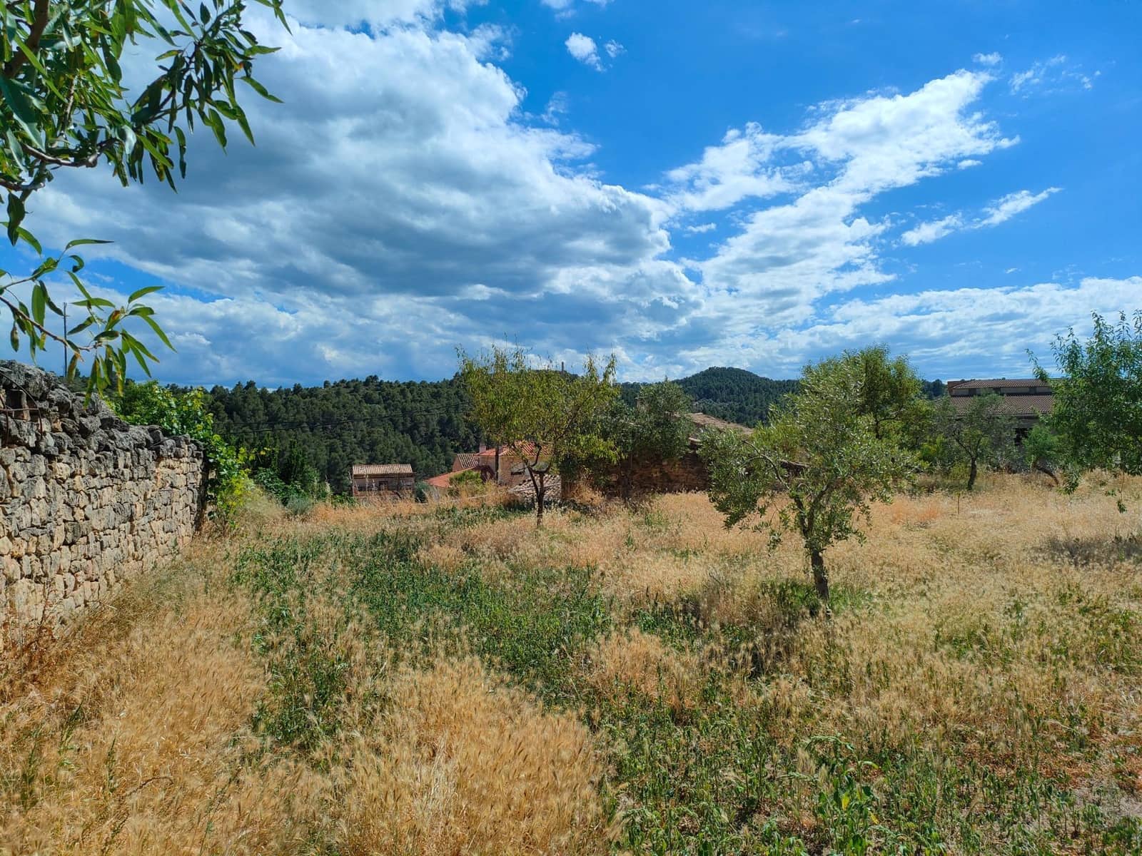 Building Plot for sale in Valdeltormo - € 80,000 (Ref: 9696260)