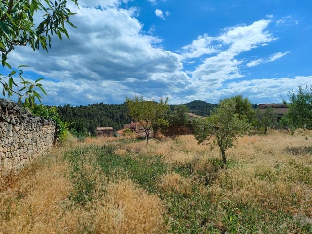 Terrain à Bâtir à vendre à Valdeltormo - 80 000 € (Ref: 9696260)