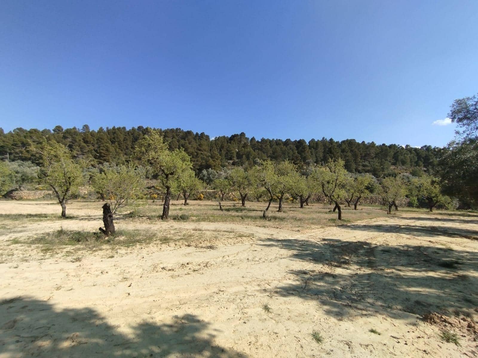 1 bedroom Finca/Country House for sale in La Fresneda - € 25,000 (Ref: 9755892)