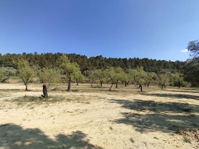 1 camera da letto Finca/Casa di Campagna in vendita in La Fresneda - 25.000 € (Rif: 9755892)