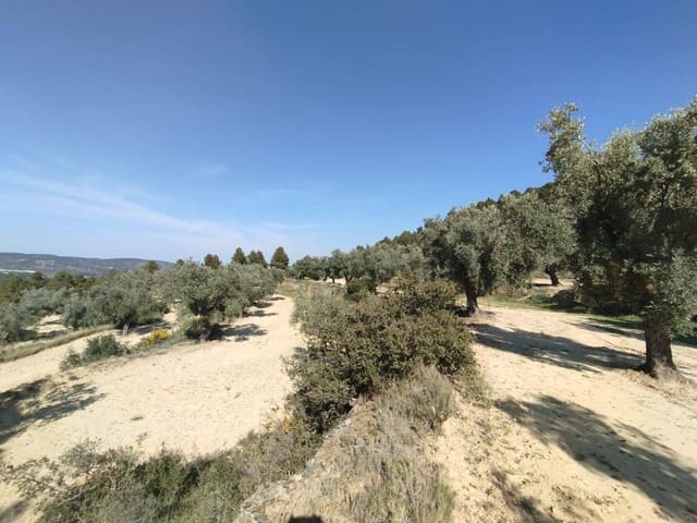 1 camera da letto Finca/Casa di Campagna in vendita in La Fresneda - 25.000 € (Rif: 9755892)