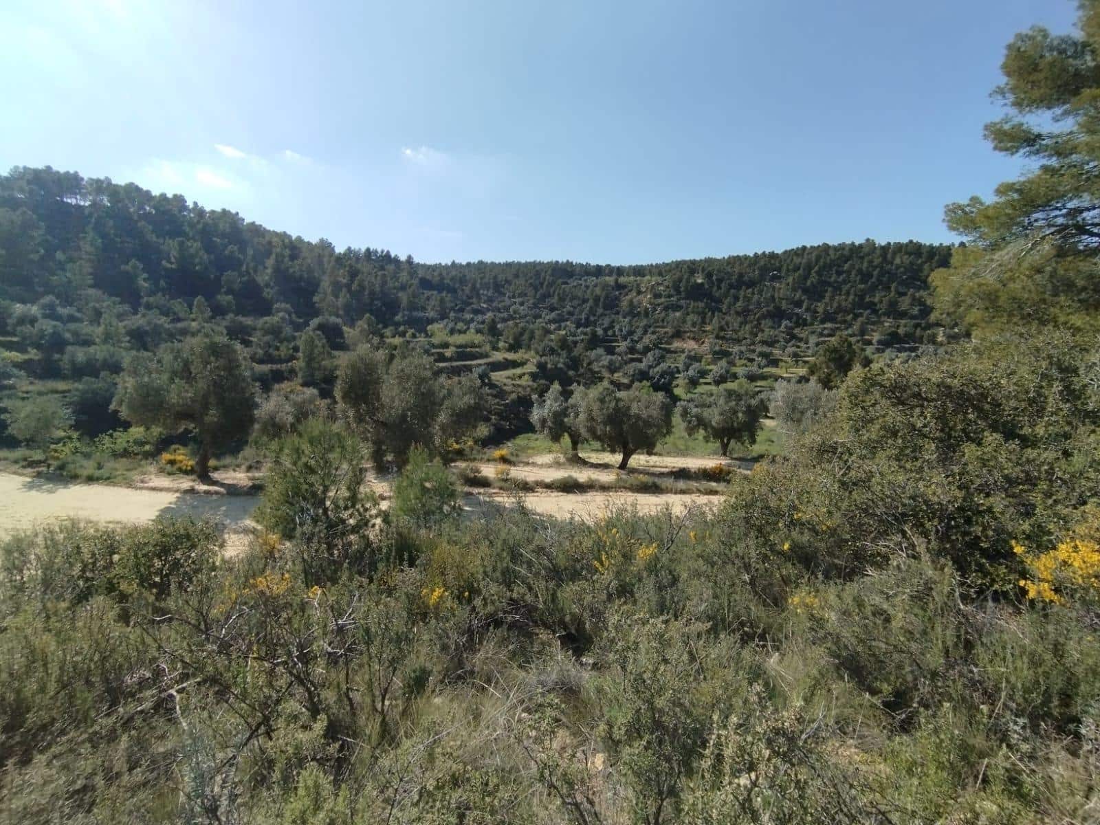 1 bedroom Finca/Country House for sale in La Fresneda - € 25,000 (Ref: 9755892)