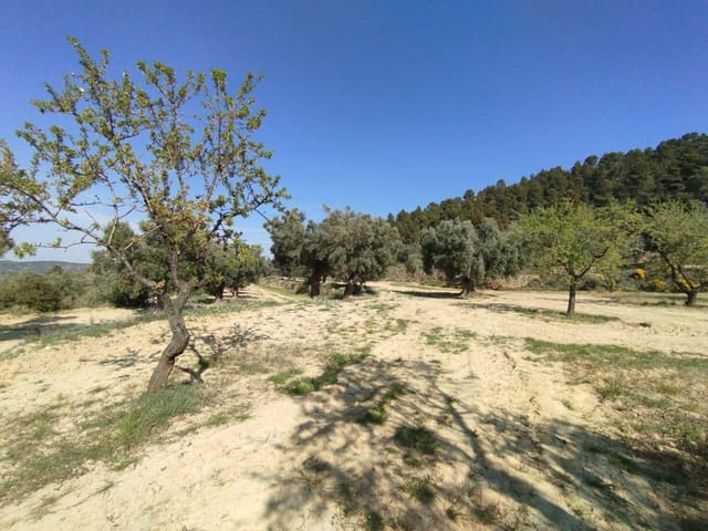 1 camera da letto Finca/Casa di Campagna in vendita in La Fresneda - 25.000 € (Rif: 9755892)