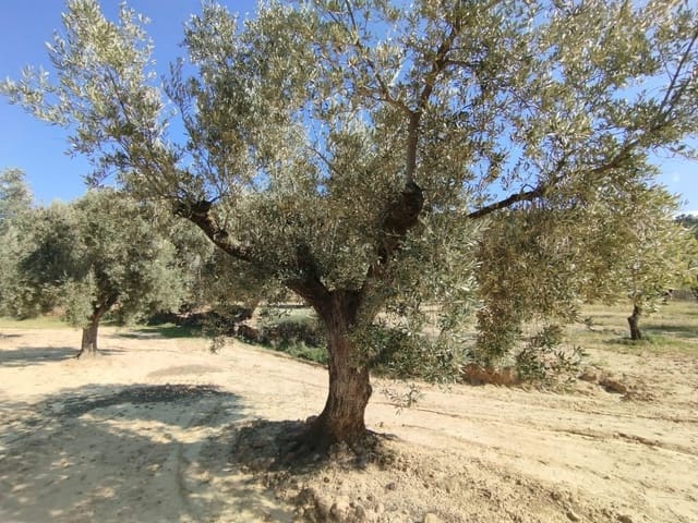 1 camera da letto Finca/Casa di Campagna in vendita in La Fresneda - 25.000 € (Rif: 9755892)