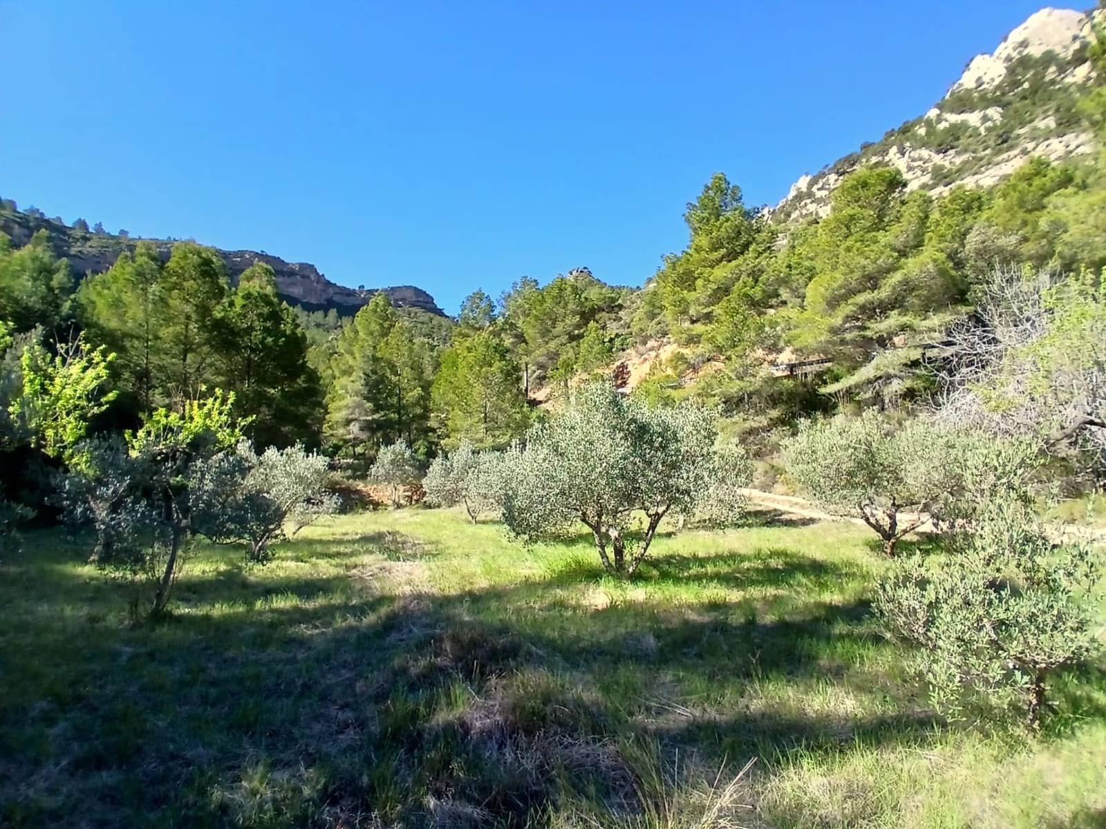1 soveværelse Finca/Landehus til salg i Prat de Comte - € 75.000 (Ref: 9770815)