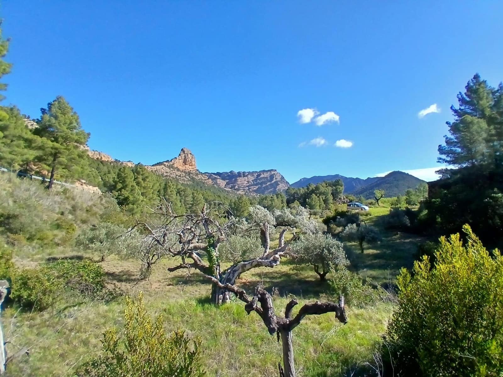 1 soveværelse Finca/Landehus til salg i Prat de Comte - € 75.000 (Ref: 9770815)