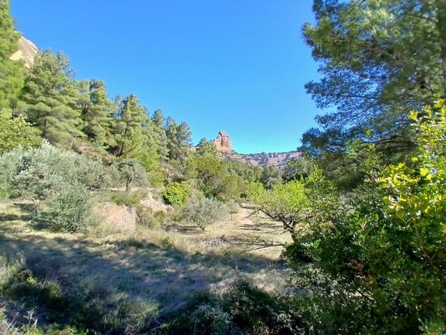 1 soveværelse Finca/Landehus til salg i Prat de Comte - € 75.000 (Ref: 9770815)