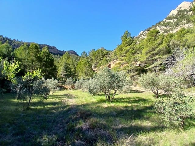 1 soveværelse Finca/Landehus til salg i Prat de Comte - € 75.000 (Ref: 9770815)