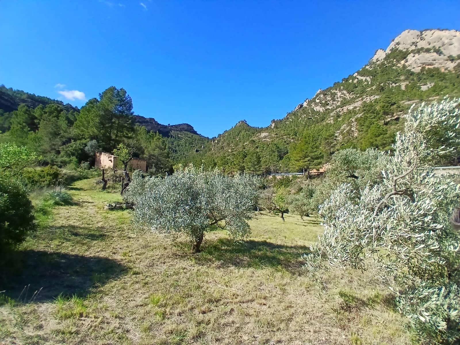 1 soveværelse Finca/Landehus til salg i Prat de Comte - € 75.000 (Ref: 9770815)