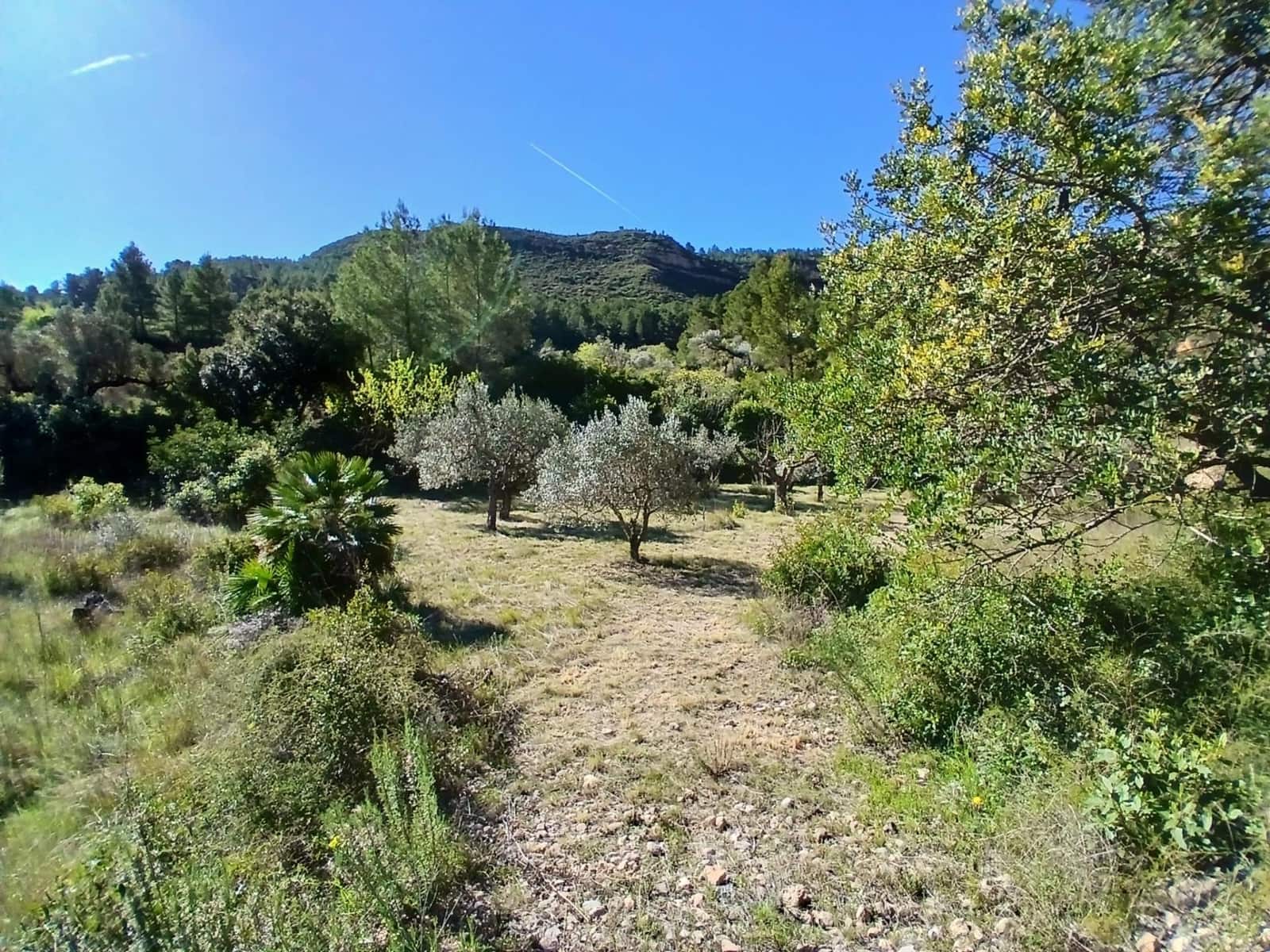 1 soveværelse Finca/Landehus til salg i Prat de Comte - € 75.000 (Ref: 9770815)