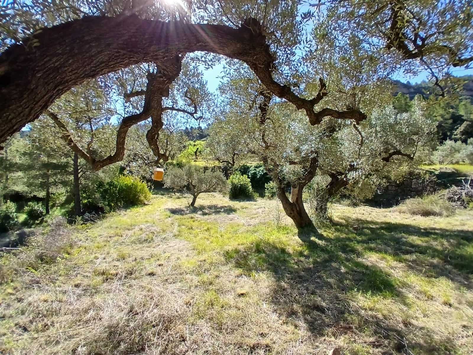 1 soveværelse Finca/Landehus til salg i Prat de Comte - € 75.000 (Ref: 9770815)
