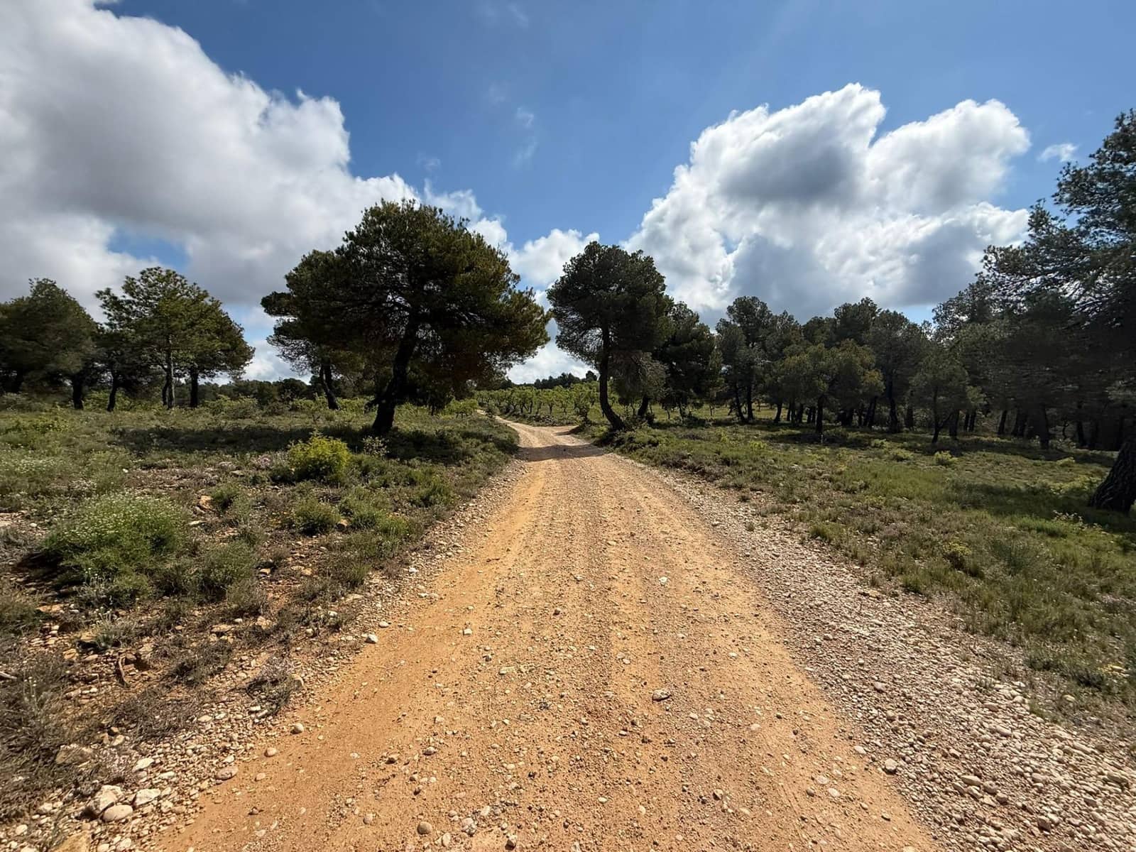 1 slaapkamer Finca/Landhuis te koop in Rafales - € 28.000 (Ref: 9770816)