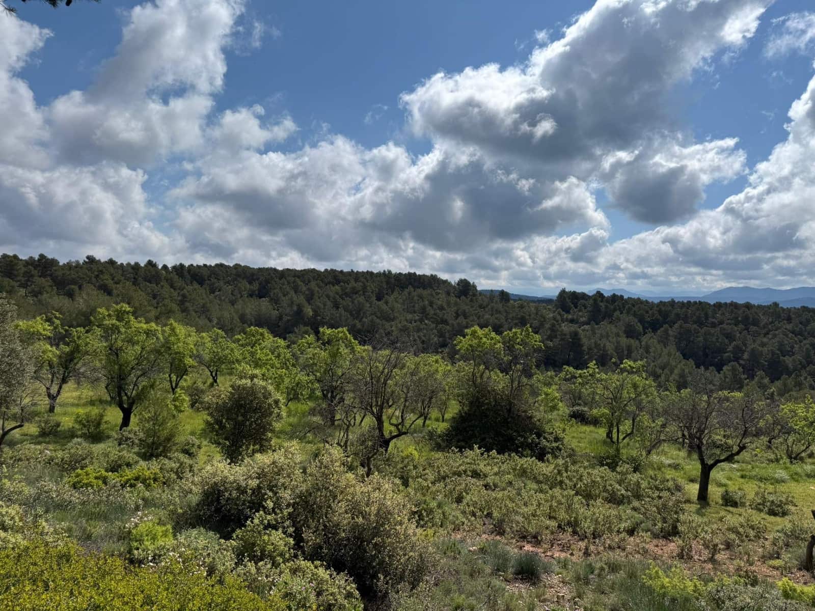 1 bedroom Finca/Country House for sale in Rafales - € 28,000 (Ref: 9770816)