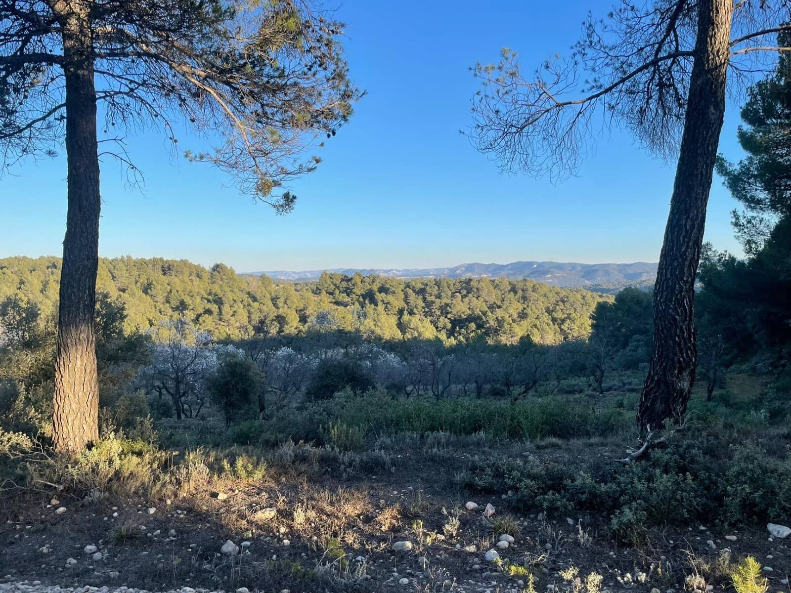 1 bedroom Finca/Country House for sale in Rafales - € 28,000 (Ref: 9770816)