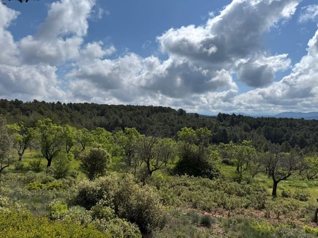 1 makuuhuone Maalaistalo myytävänä paikassa Ráfales - 28 000 € (Ref: 9770816)