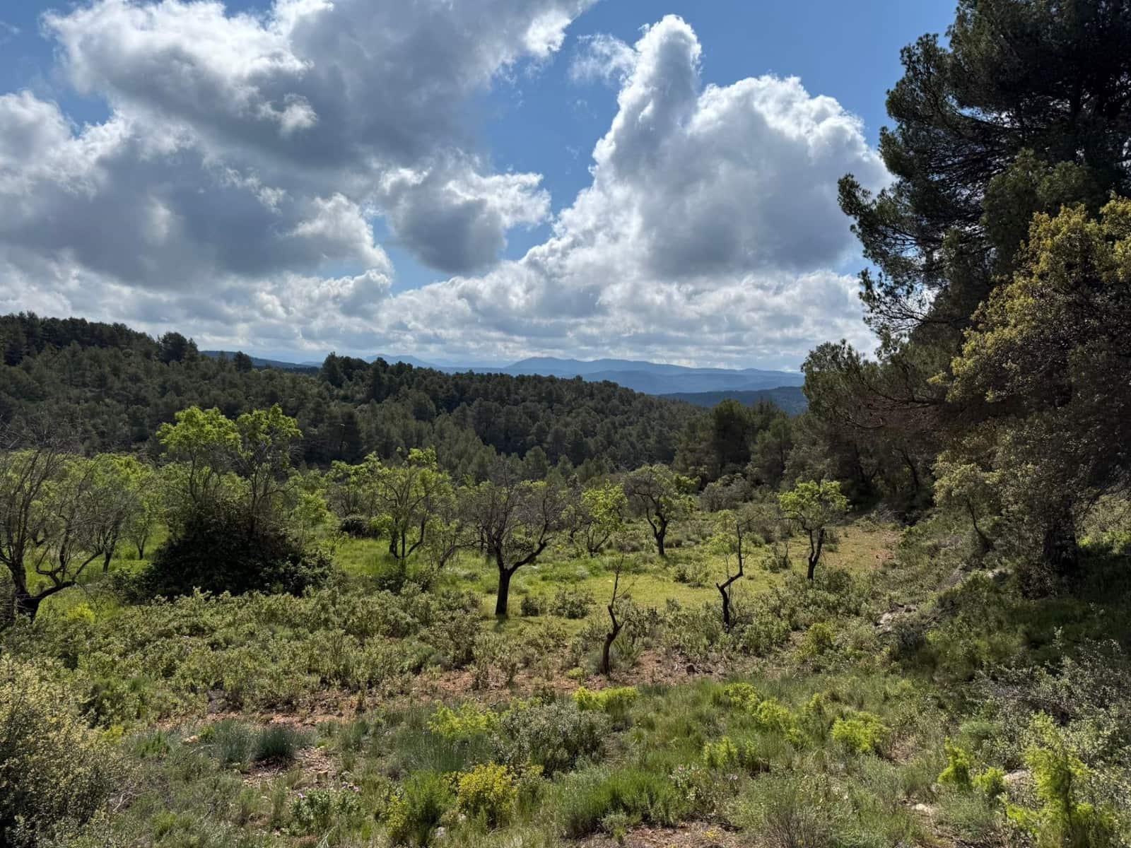 1 bedroom Finca/Country House for sale in Rafales - € 28,000 (Ref: 9770816)