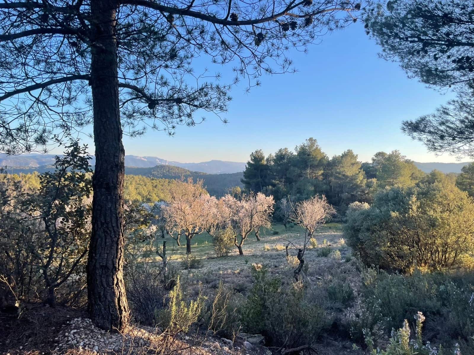 1 bedroom Finca/Country House for sale in Rafales - € 28,000 (Ref: 9770816)