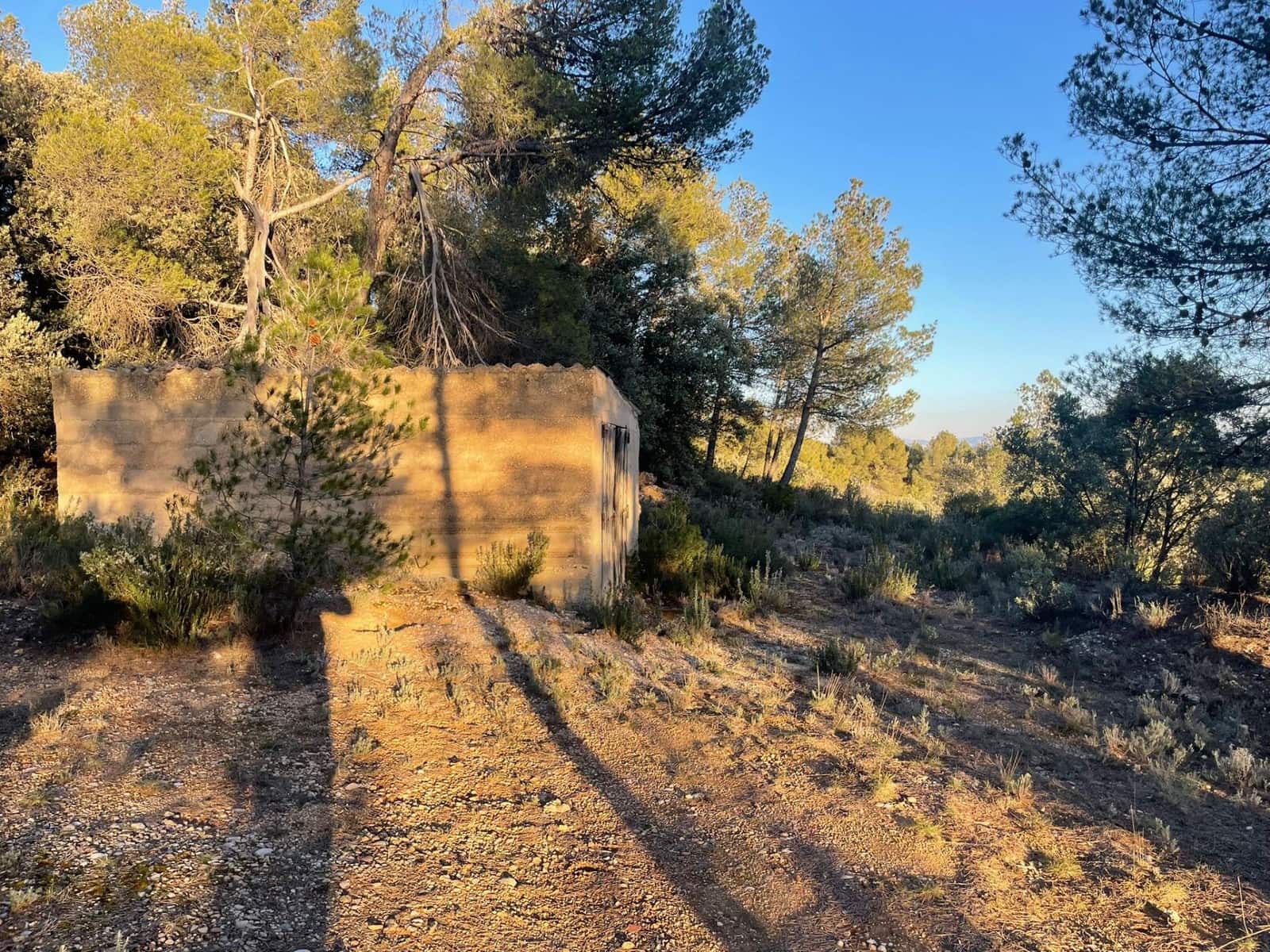 1 bedroom Finca/Country House for sale in Rafales - € 28,000 (Ref: 9770816)