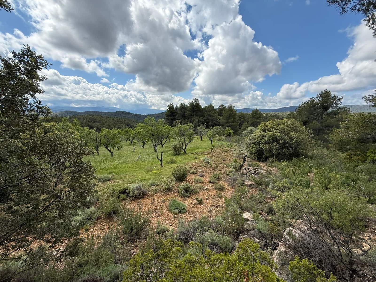 1 bedroom Finca/Country House for sale in Rafales - € 28,000 (Ref: 9770816)