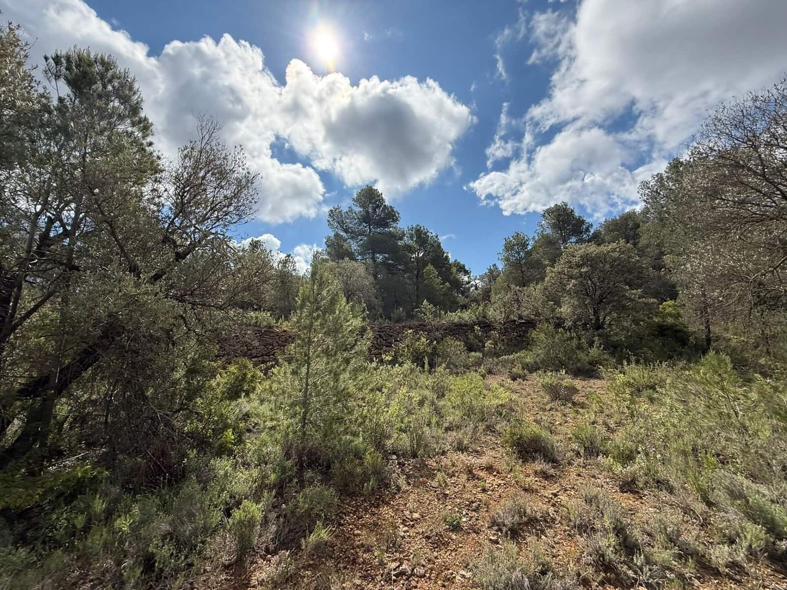 1 bedroom Finca/Country House for sale in Rafales - € 28,000 (Ref: 9770816)