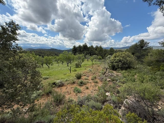 1 makuuhuone Maalaistalo myytävänä paikassa Ráfales - 28 000 € (Ref: 9770816)