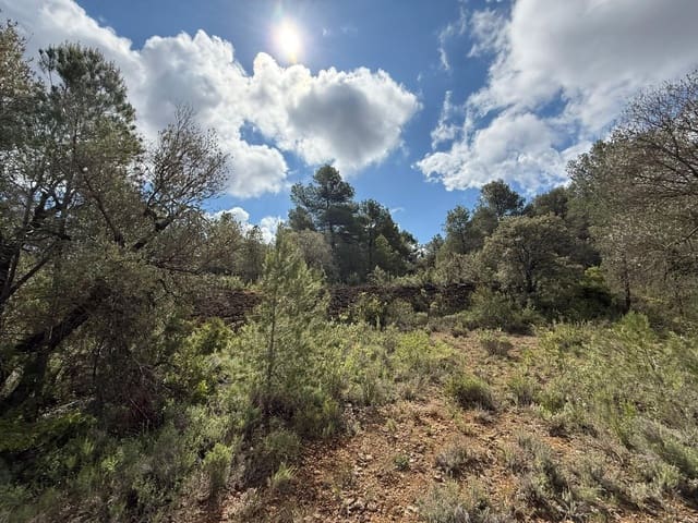 1 makuuhuone Maalaistalo myytävänä paikassa Ráfales - 28 000 € (Ref: 9770816)