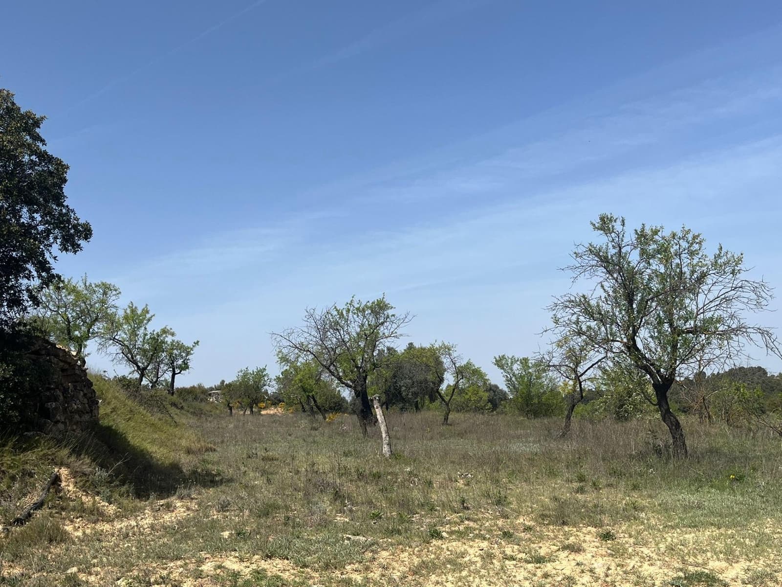 1 soverom Finca/Herregård til salgs i Calaceite - € 36 500 (Ref: 9773270)