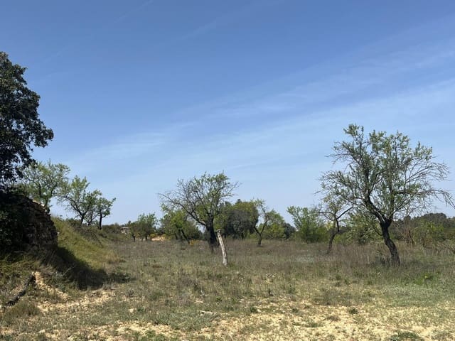 1 camera da letto Finca/Casa di Campagna in vendita in Calaceite - 36.500 € (Rif: 9773270)