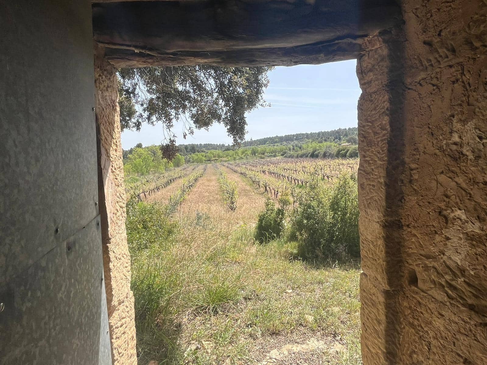 1 soverom Finca/Herregård til salgs i Calaceite - € 36 500 (Ref: 9773270)