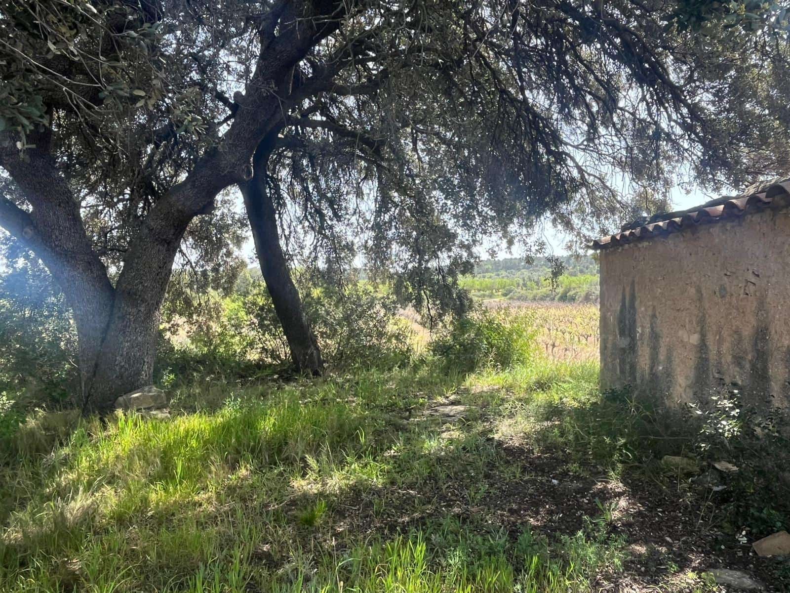 1 soverom Finca/Herregård til salgs i Calaceite - € 36 500 (Ref: 9773270)