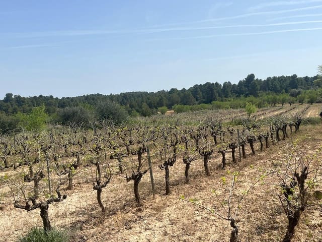 1 camera da letto Finca/Casa di Campagna in vendita in Calaceite - 36.500 € (Rif: 9773270)