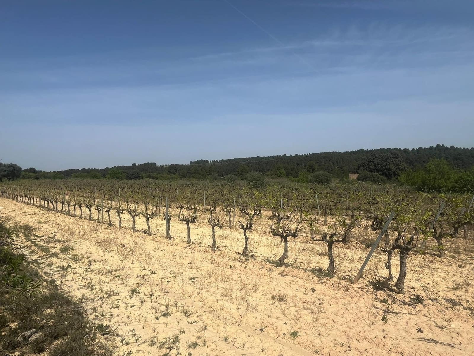 1 soverom Finca/Herregård til salgs i Calaceite - € 36 500 (Ref: 9773270)