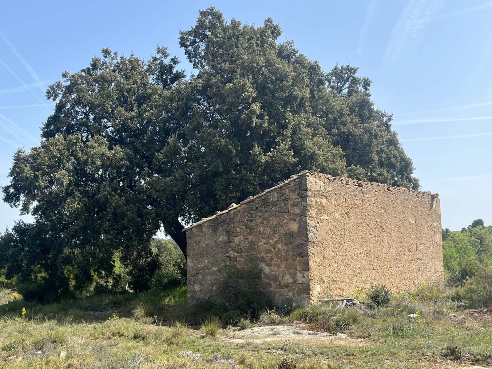 1 soverom Finca/Herregård til salgs i Calaceite - € 36 500 (Ref: 9773270)