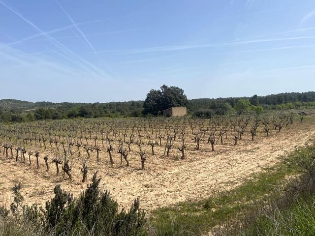 1 camera da letto Finca/Casa di Campagna in vendita in Calaceite - 36.500 € (Rif: 9773270)