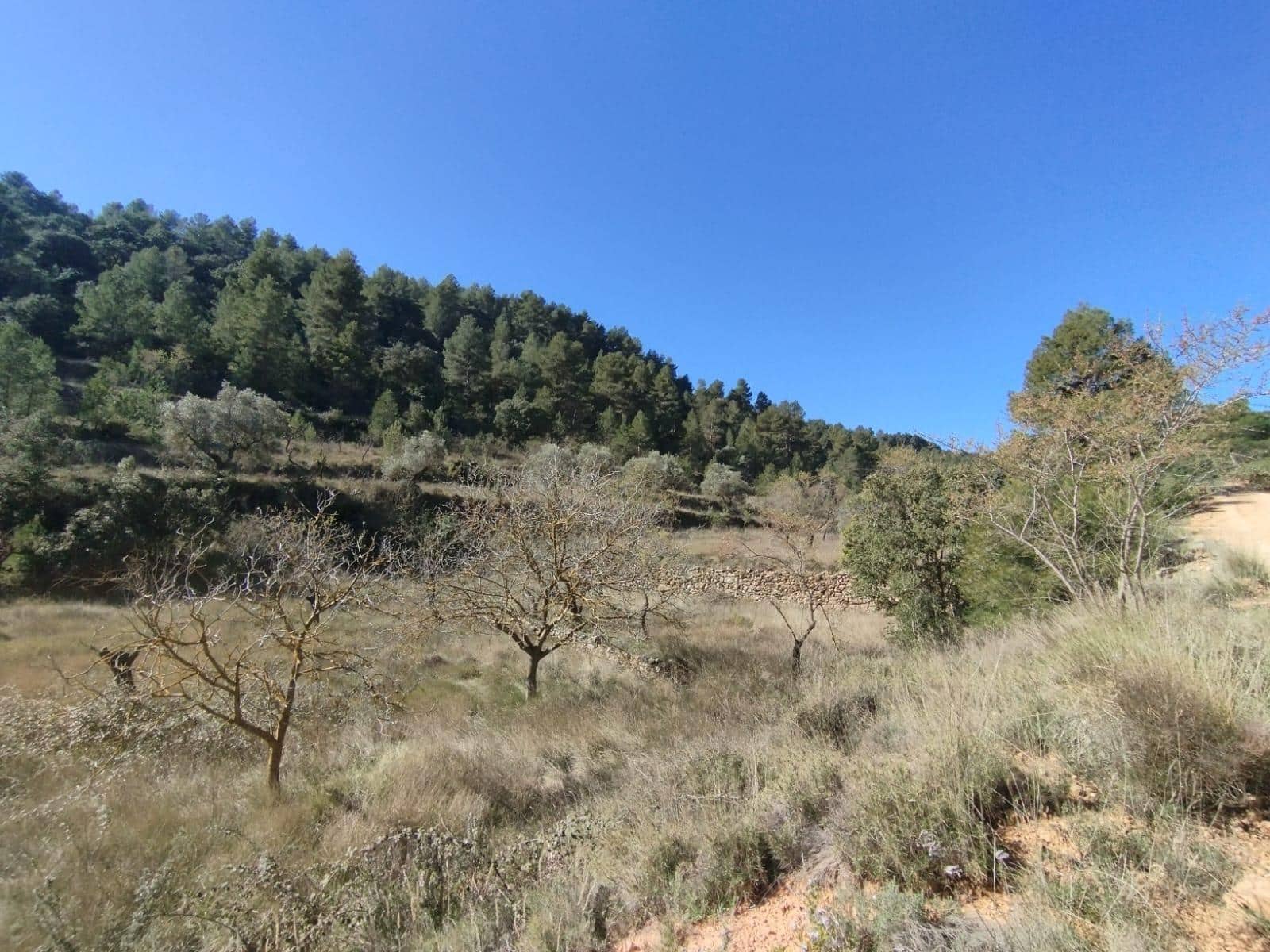 1 makuuhuone Maalaistalo myytävänä paikassa Beceite - 35 000 € (Ref: 9780741)