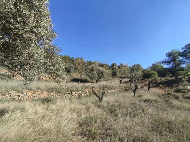 1 makuuhuone Maalaistalo myytävänä paikassa Beceite - 35 000 € (Ref: 9780741)