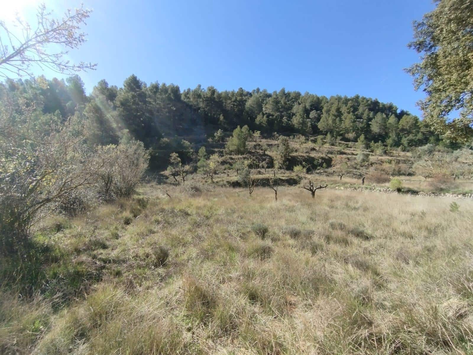 1 makuuhuone Maalaistalo myytävänä paikassa Beceite - 35 000 € (Ref: 9780741)