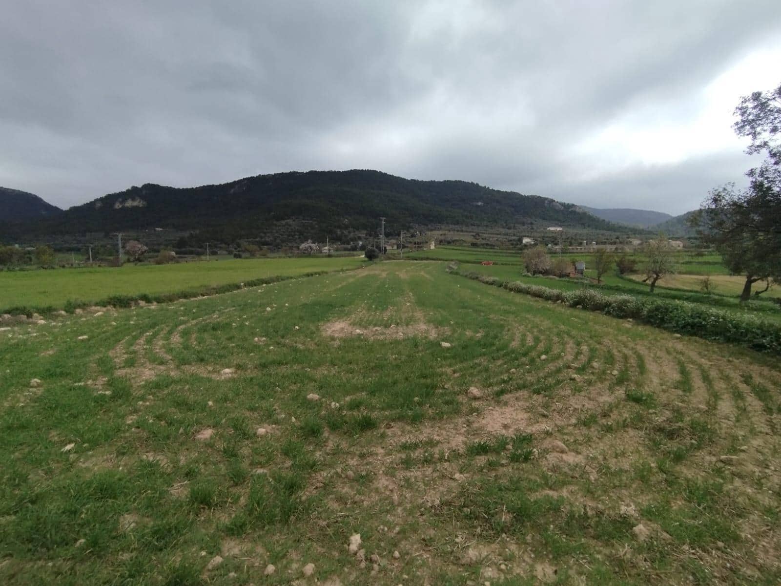 Finca/Country House for sale in Penarroya de Tastavins - € 8,000 (Ref: 9791238)