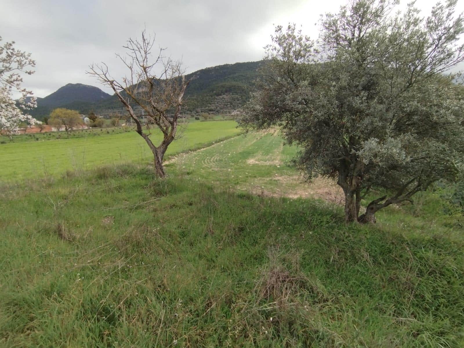 Finca/Country House for sale in Penarroya de Tastavins - € 8,000 (Ref: 9791238)